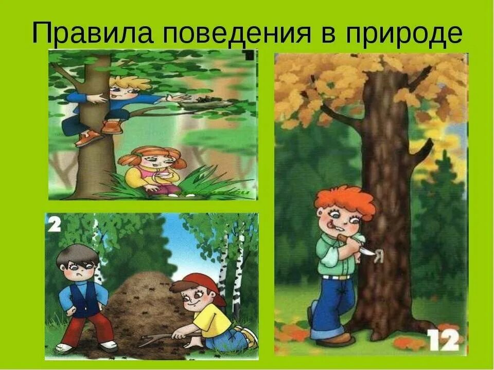 Лесного ошибки