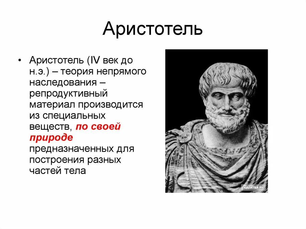 Аристотель век. Аристотель век до н.э. Аристотель век жизни. Теория Аристотеля.