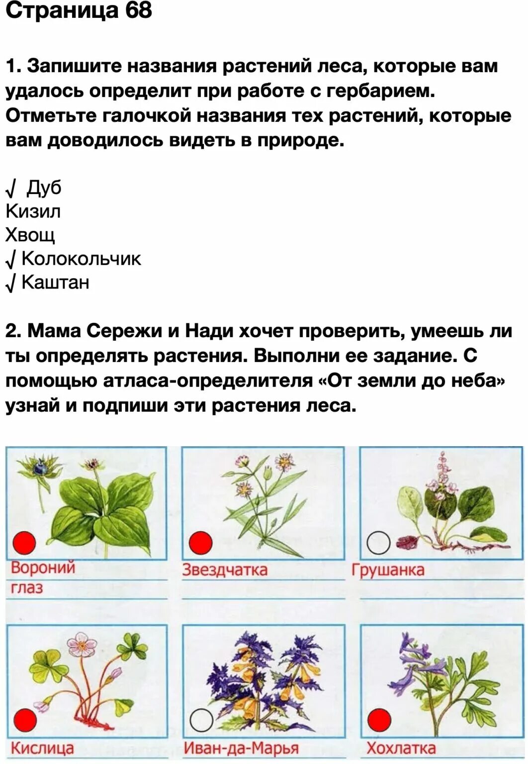 Тетрадь по окружающему 4 класс 1 часть. Окружающий мир 4 класс рабочая тетрадь 1 часть стр 68. Рабочая тетрадь окружающий мир 1 стр 4. Растения леса 4 класс окружающий мир рабочая тетрадь. Окружающий мир 4 класс рабочая тетрадь 1 часть.