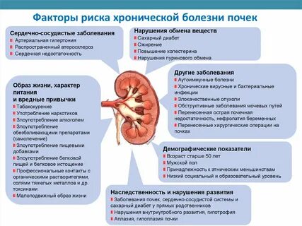 Витамины хпн