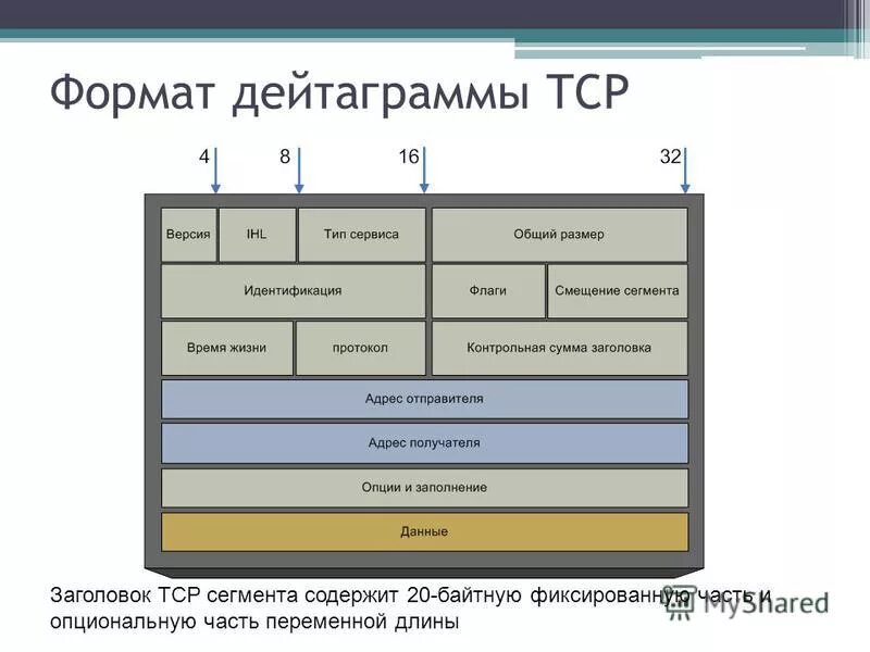 Директивы сегментации. Структура заголовка tcp udp. Формат tcp сегмента. Формат сегмента. Udp заголовок структура.