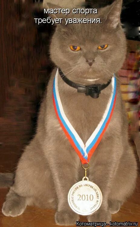 марлон брандо крестный отец с кошкой. требую уважения. без должного уважения крестный отец. шутки про уважение. ты просишь меня о помощи но ты просишь без уважения.