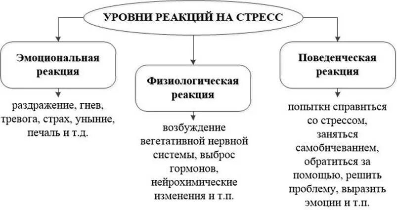 Реакционный человек. Уровни реакции на стресс. Основные группы стресс-реакций. Реакции на стресс в психологии. Типы поведенческих реакций на стресс.