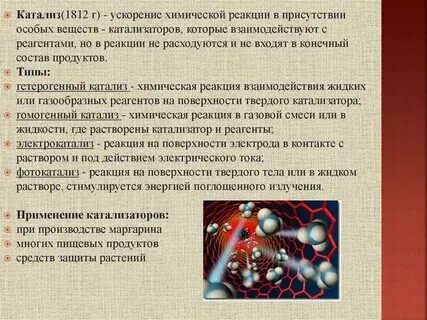 Вещество ускоряющее химическую реакцию в организме