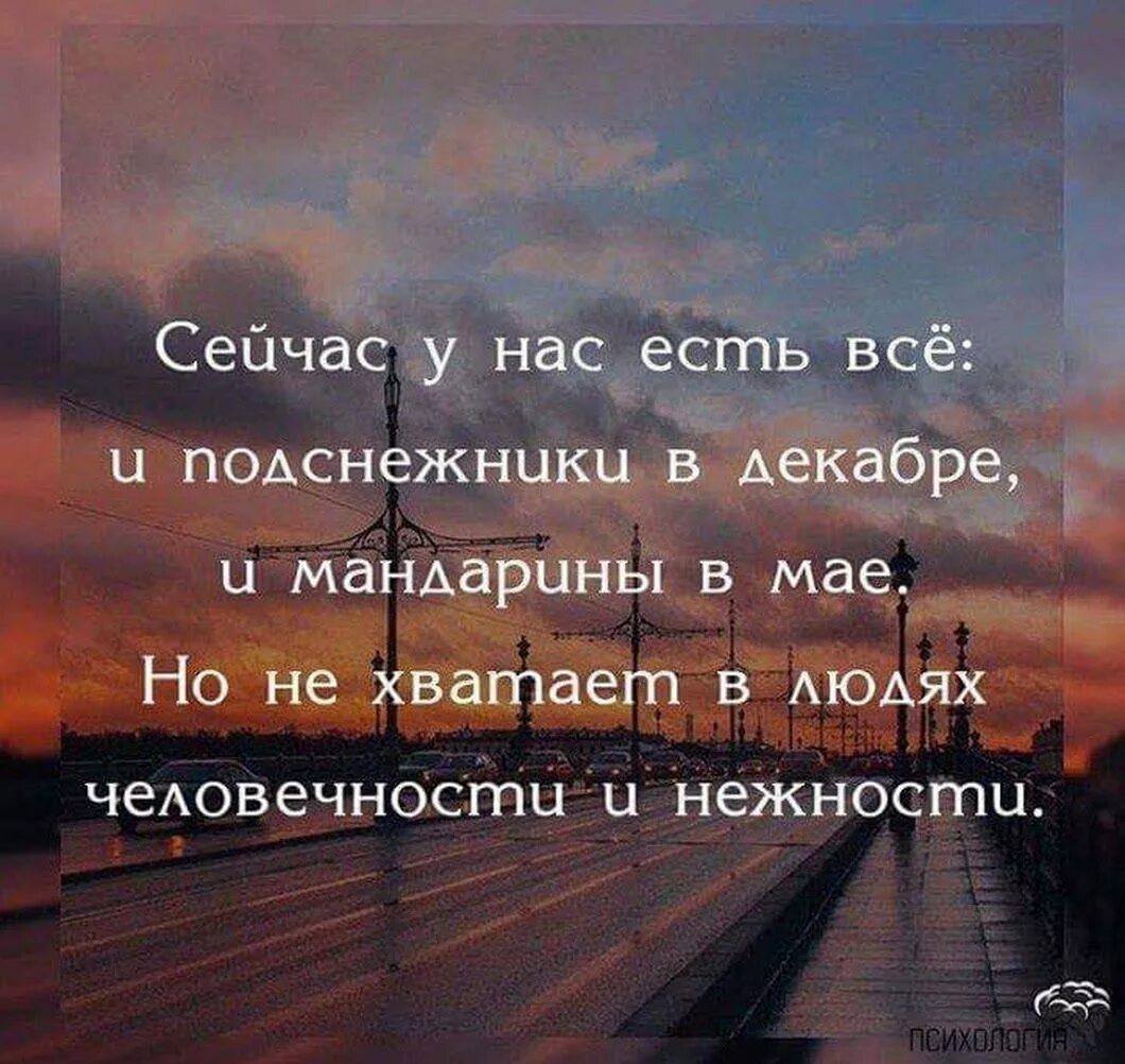 Нежность высказывания. Цитаты про человечность. Высказывания о человечности. Фразы про человечность. Выражения про человечность.