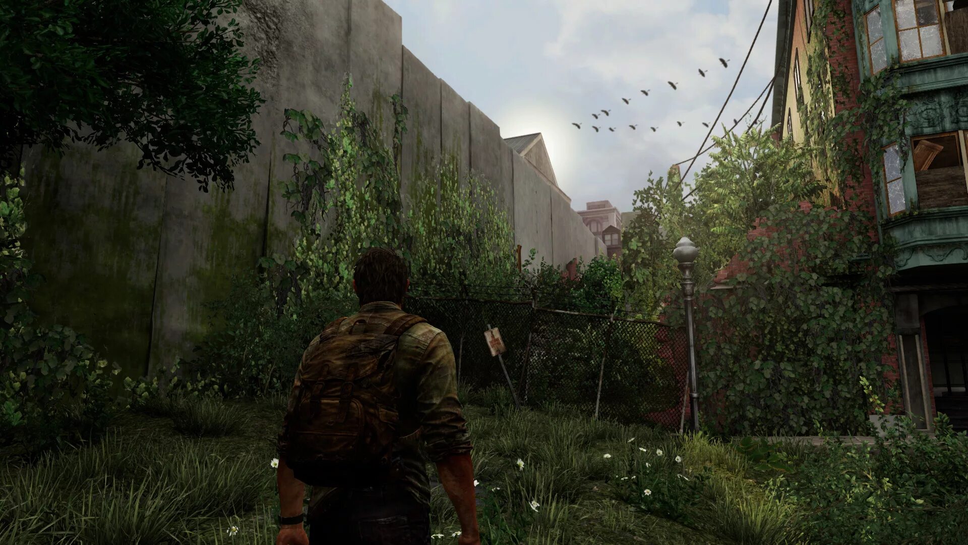 Last of us 2 пк дата выхода. The last of us красивые скриншоты. the last of us игра на пк.