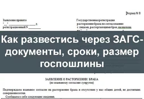 Что нужно для развода в загсе. Какие документы нужны для развода. Документ о расторжении брака. Документы при разводе через ЗАГС. Какие документы нужны для подачи на развод.