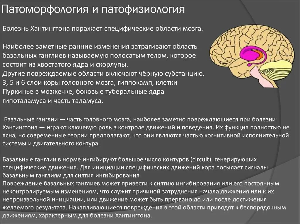 Тело без мозга. Патоморфология болезни Гентингтона. Презентация на тему болезнь Гентингтона. Хорея Гентингтона полосатое тело. Патоморфология и патофизиология при хореи Гентингтона.