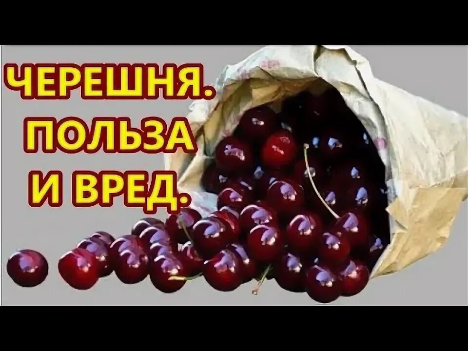 Польза черешни. Черешня польза. Вред черешни. Чем полезна черешня. Черешня польза и вред.