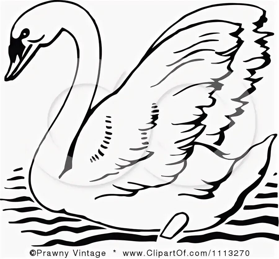 How to Draw a Swan - Really Easy Drawing Tutorial Swan drawing, Easy drawings, D