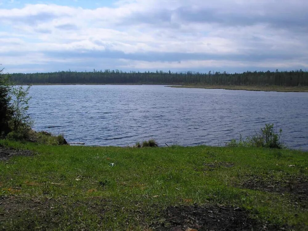 Рефтинский богданович