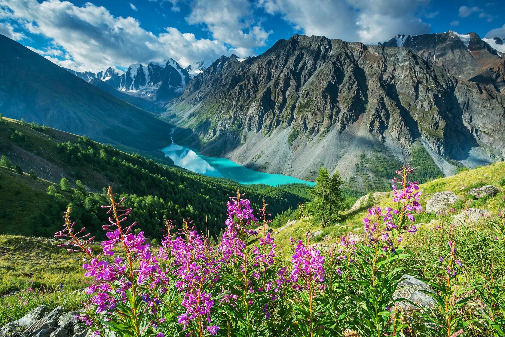 Горы Алтая Горно=Алтайск