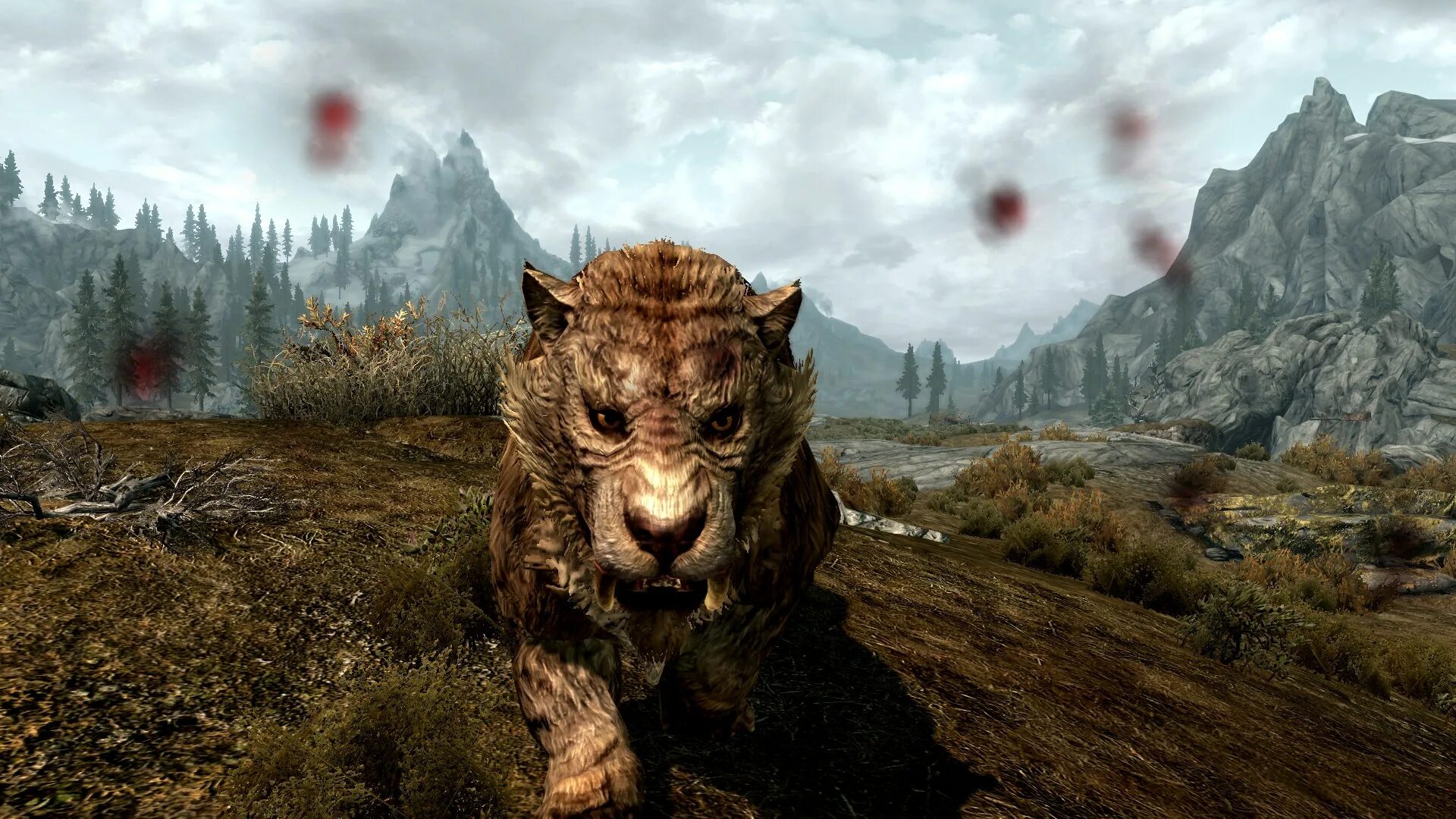 Animals skyrim