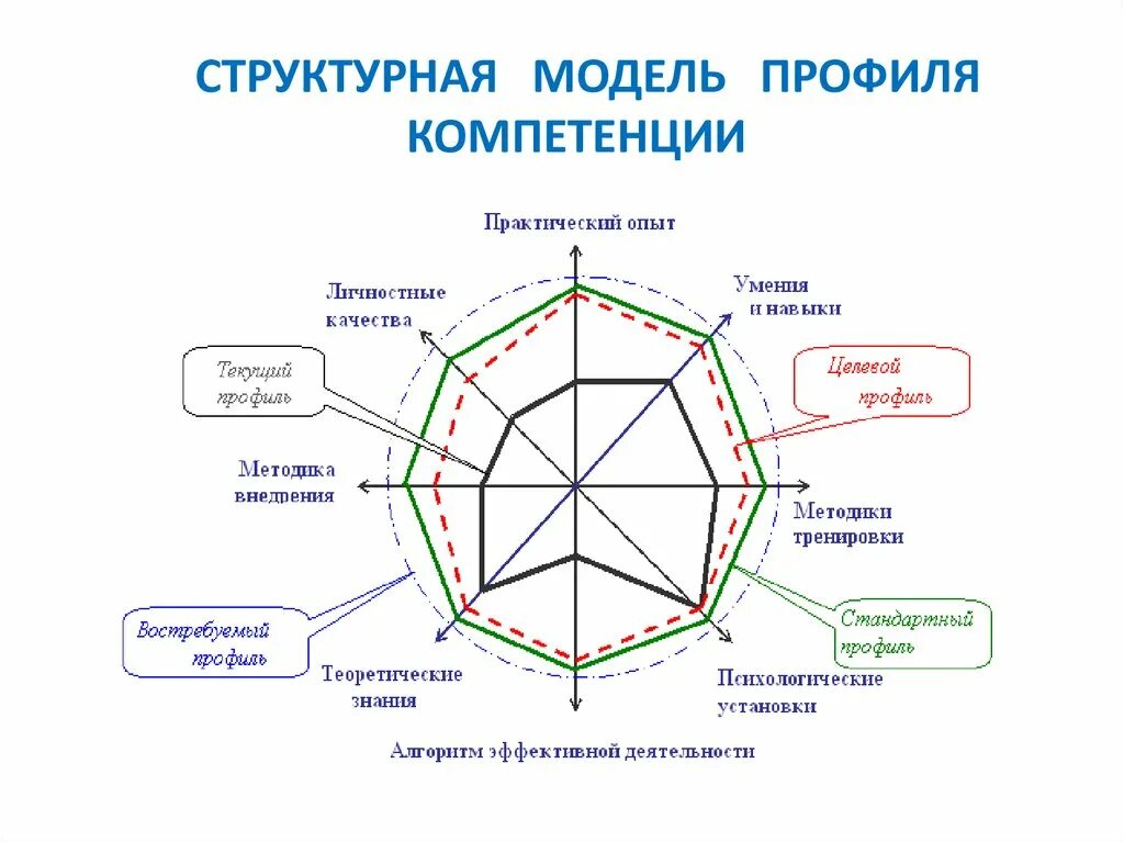 Профиля компетентности. Диаграмма профиля компетенции сотрудника. Модель и профиль компетенций. Профиль компетенций пример. Модель компетенций руководителя пример.