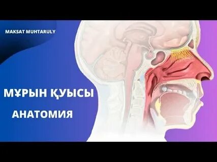 Тольяттиде қазір секс іздеп жүрген әйелдер