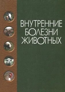 Внутренние незаразные болезни учебники