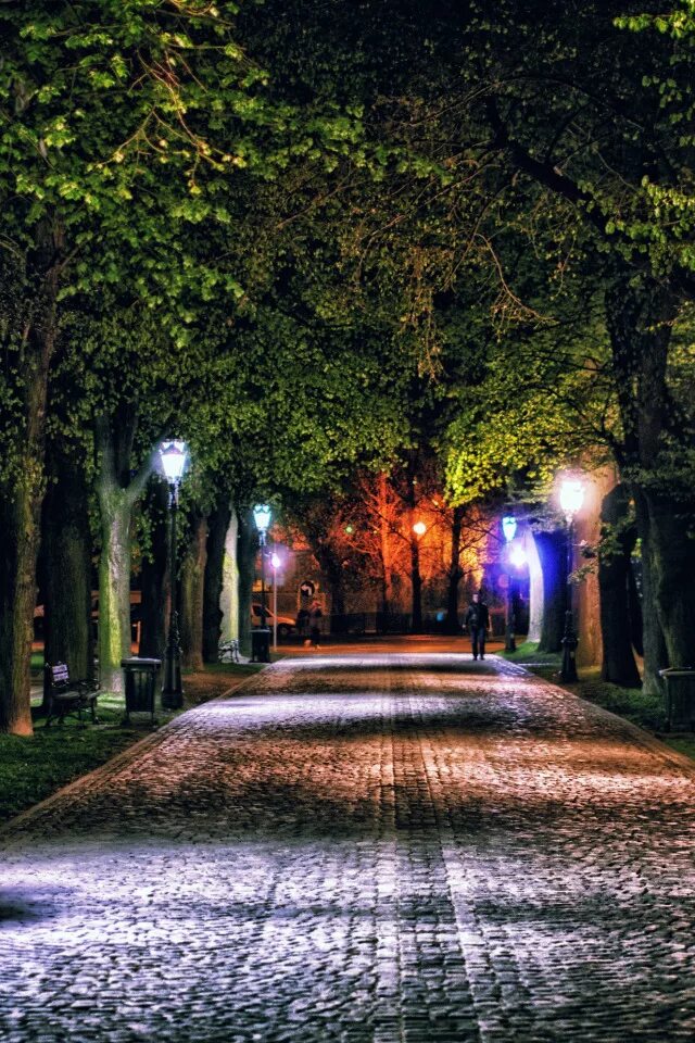 Ночной стерлитамак аллеи. Летняя ночь в городе. Вечер парк летом. Парк примроуз хилл. Вечер парк летом.