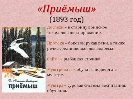 Отзыв приемыш 4 класс