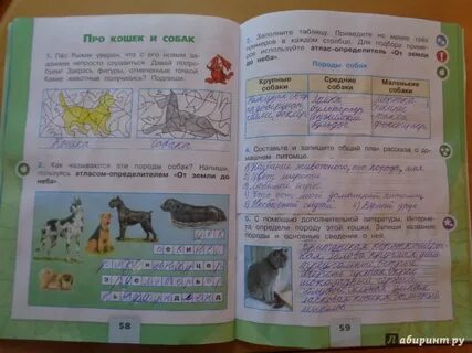 Окружающий мир рабочая тетрадь страница 59