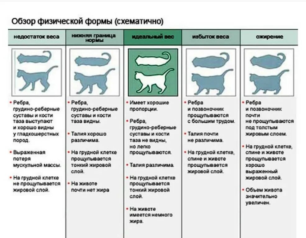 Нормального форум