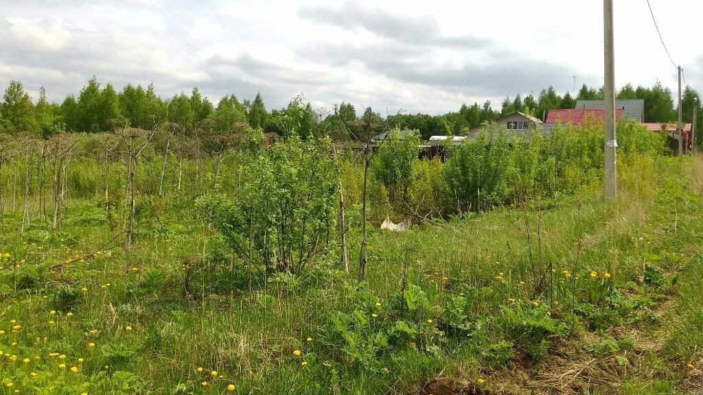 деревня шевернево тульская область заокский. участок 40 соток. участок 40 соток. деревня здринога. периметр участка 40 соток.