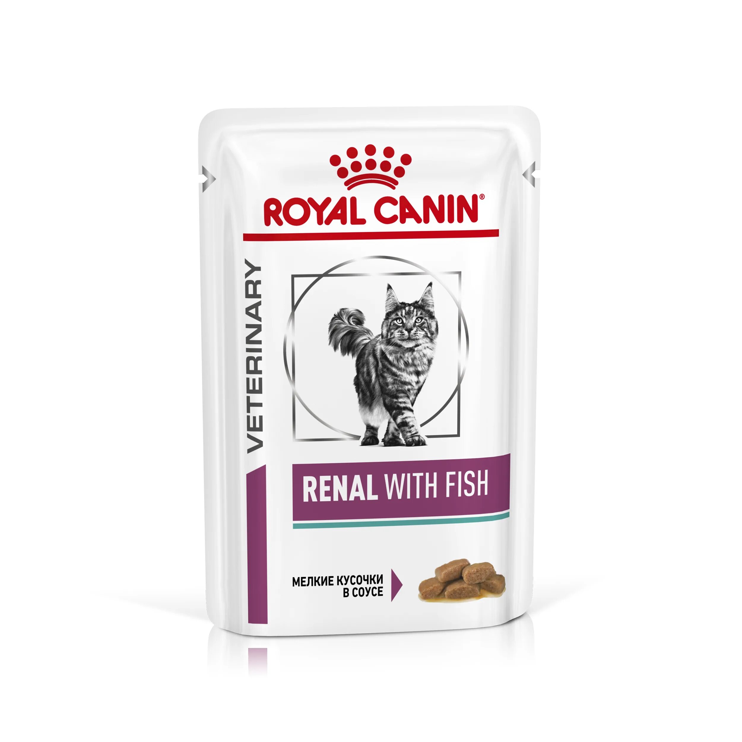 Роял Канин пауч гастро Интестинал. Royal Canin sensitivity Control для кошек. Royal Canin renal пауч для кошек. Royal Canin Gastrointestinal moderate Calorie для кошек. Купить ренал канин для кошек