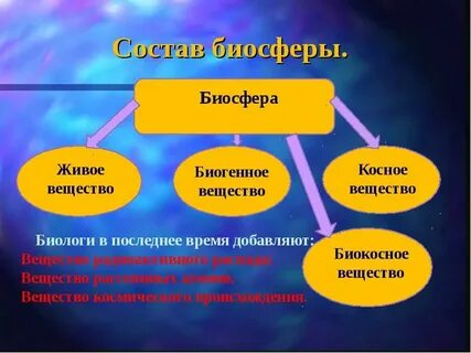 Природа и человек конспект кратко