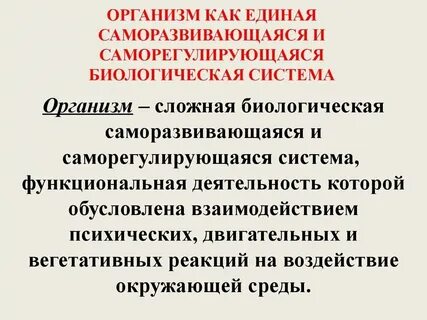 Какими характеристиками обладает человек как биологическая система