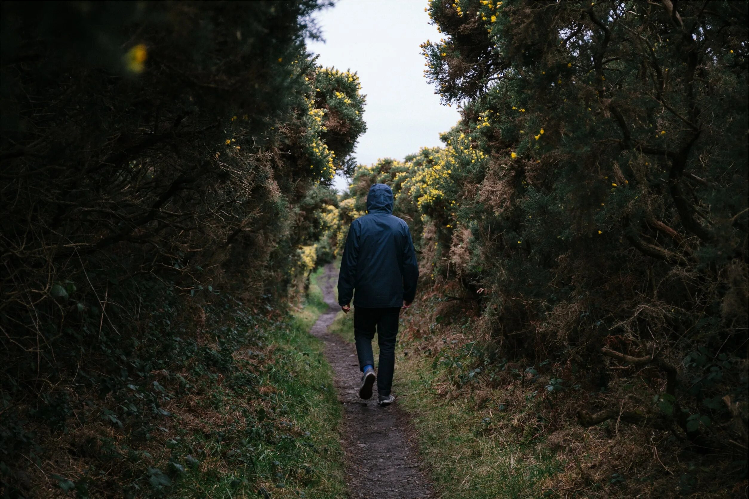 8 walk