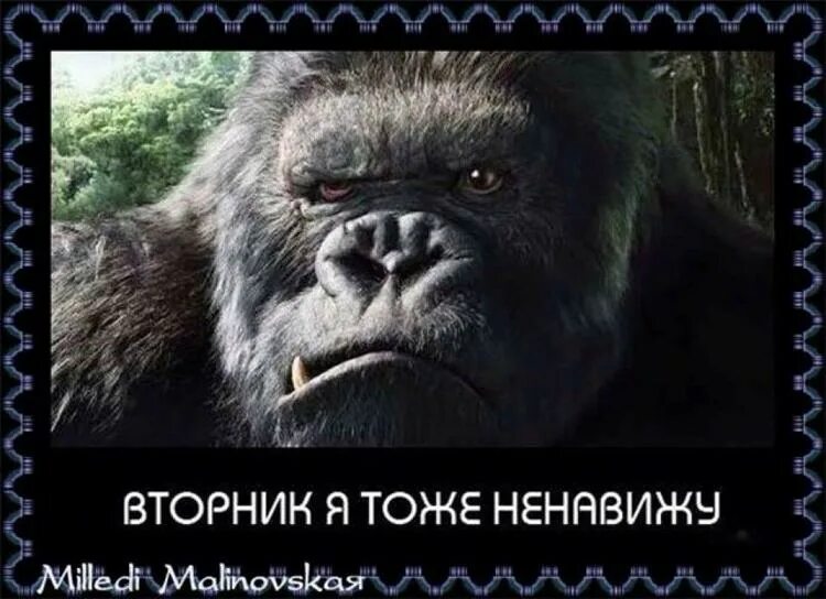 Ничему не был рад