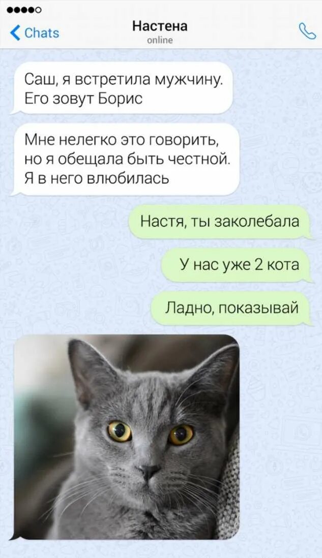 Интригующие сообщения