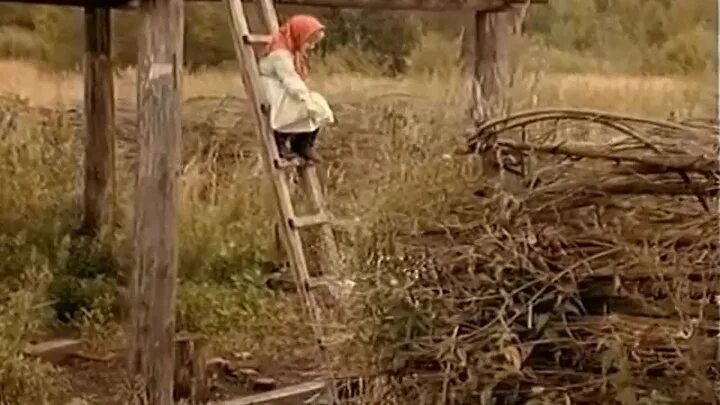 Кадышевой цветет калина. Кадышевой цветет калина. Кадышевой цветет калина. Кадышевой цветет калина. Кадышевой цветет калина.