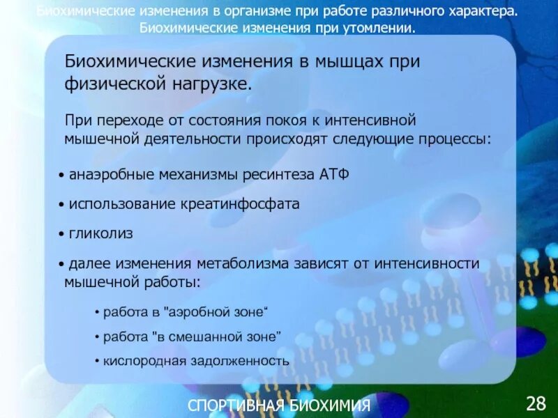 Физическое состояние при переходе. Биохимические изменения в организме. Биохимические изменения в организме при мышечной деятельности. Биохимия спорта презентация. Биохимические изменения при утомлении.