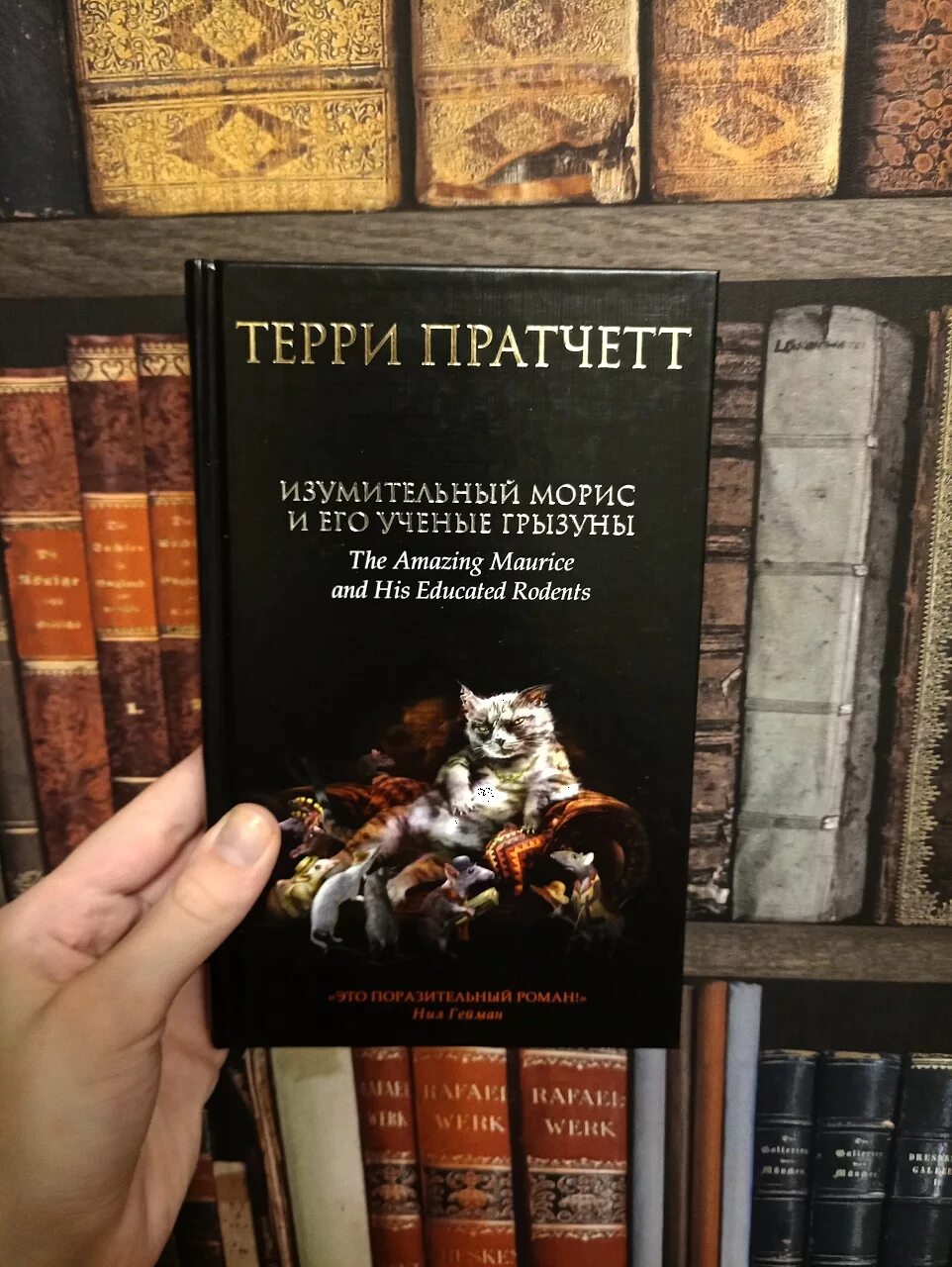 Морис книга отзывы. Терри Пратчетт удивительный Морис. Терри Пратчетт Морис и его учёные Грызуны. Изумительный Морис и его учёные Грызуны Терри Пратчетт книга. Терри Пратчетт кот Моррис.