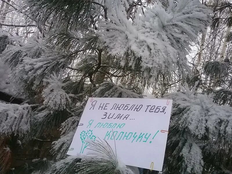 Многие не любят зиму. Не люблю зиму. я люблю зиму. любит зиму не любит зиму. зиму я люблю летом лето я люблю зимой.