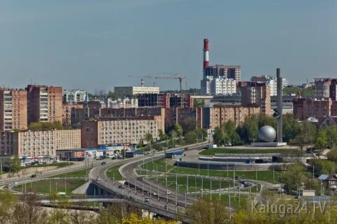 Молодой калуга сколько лет