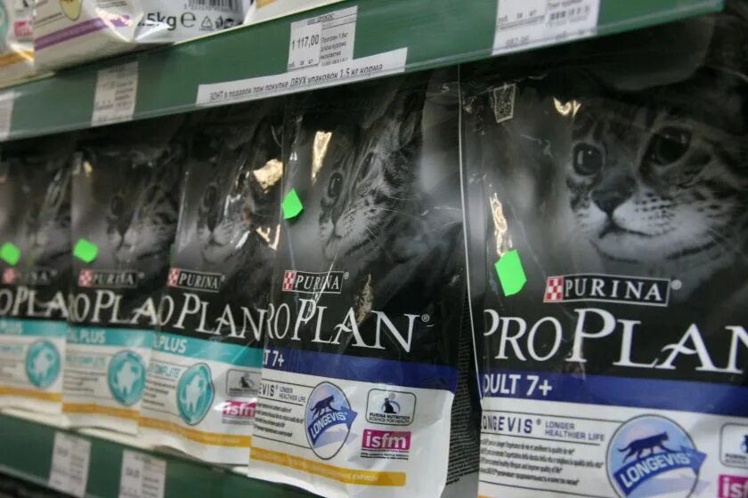 Корм для кошек мнение ветеринаров. Корм для кошек холистик бренды. Карми сухой корм для кошек стерилизованных. Корм для кошек мнение ветеринаров. Самый лучший корм для кошек по мнению ветеринаров.