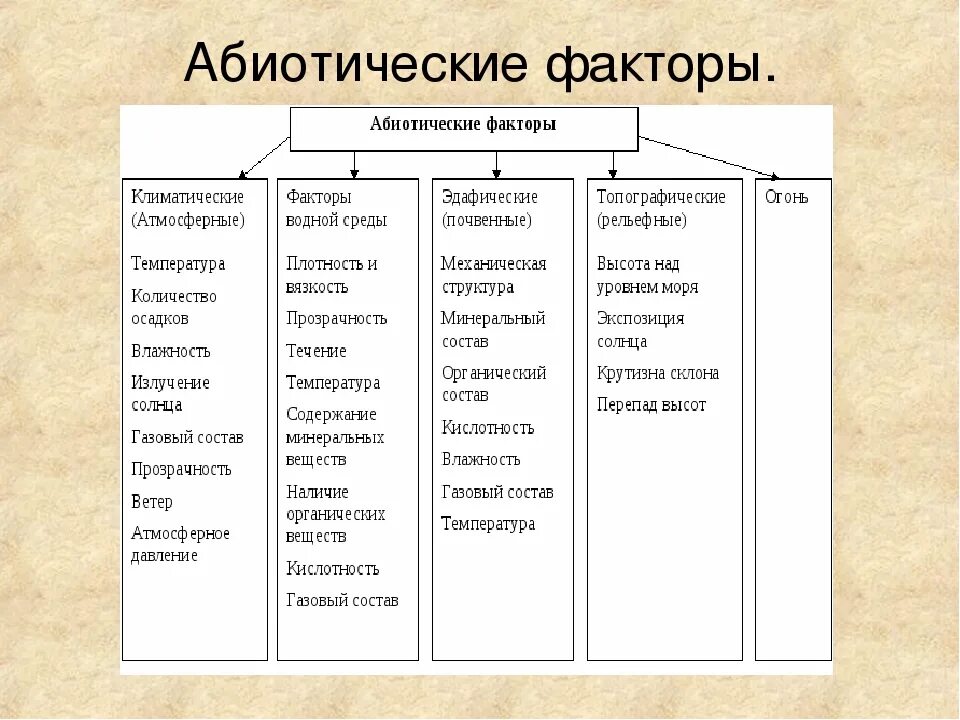 Что относится к абиотическим факторам среды. Абиотические факторы среды. Перечислите абиотические факторы. Абиотические факторы понятие. Назовите абиотические факторы среды.