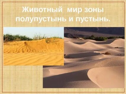 Пояс полупустынь и пустынь