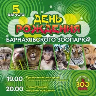 Зоопарк утро