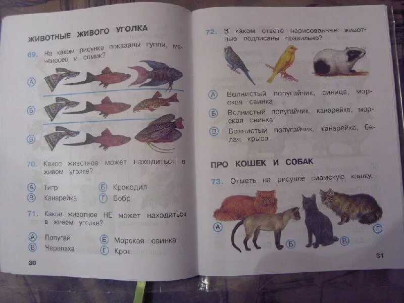 Плешаков а. а. "школа России. Окружающий мир. Тесты. 2 Класс". Задания по окружающему миру. Тесты по окружающему миру 2 класс Плешаков. Тесты окружающий 2 класс Плешаков.