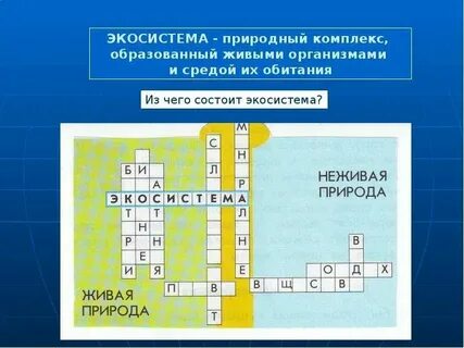 Кроссворд живая и неживая природа 2 класс