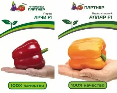 Арчи перец отзывы