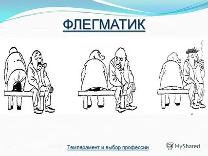 Человек флегматического темперамента
