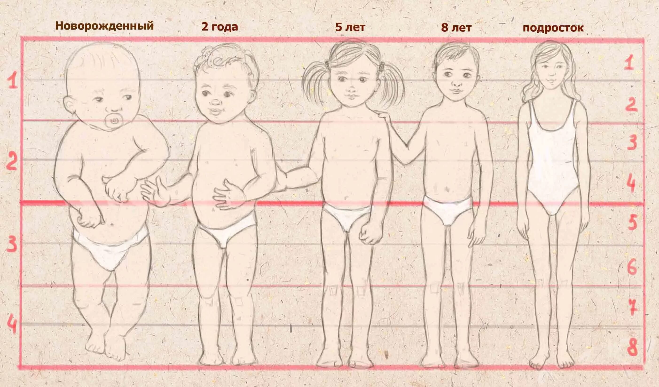 Поэтапное развитие ребенка. Пропорции тела ребенка по возрастам. Пропорции тела ребенка 5 лет. Анатомия пропорции тела ребенка. Пропорции частей тела ребенка в 1год.