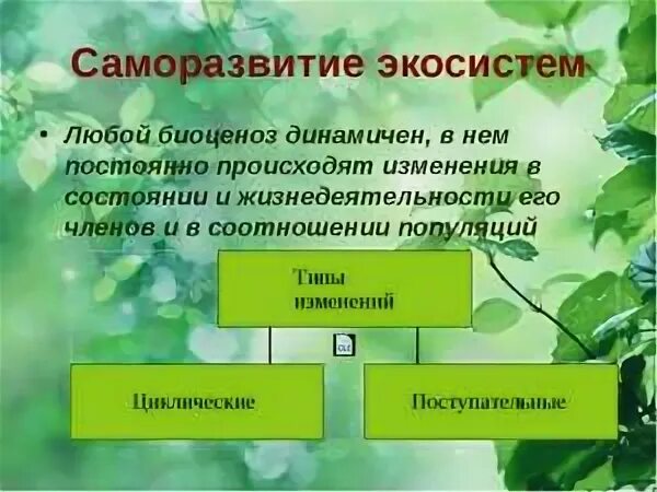 Биоценоз и биогеоценоз презентация 9 класс