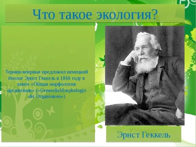 Геккель экология 1866. Эрнст геккель биолог. Геккель термин экология. Экология по геккелю. Эрнст геккель термин экология.