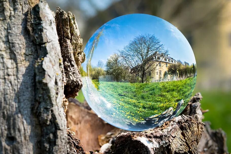 Сфера в природе. Весенний стеклянный шар. Природа в стеклянном шаре.