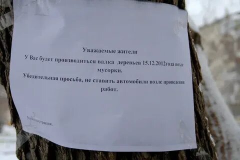 Взращенные деревья как пишется