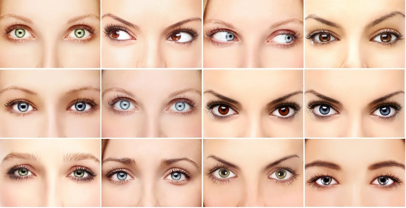 Расставить глаза. Формы глаз. Миндалевидный разрез глаза. Формы женских глаз. Миндалевидный Тип глаз.